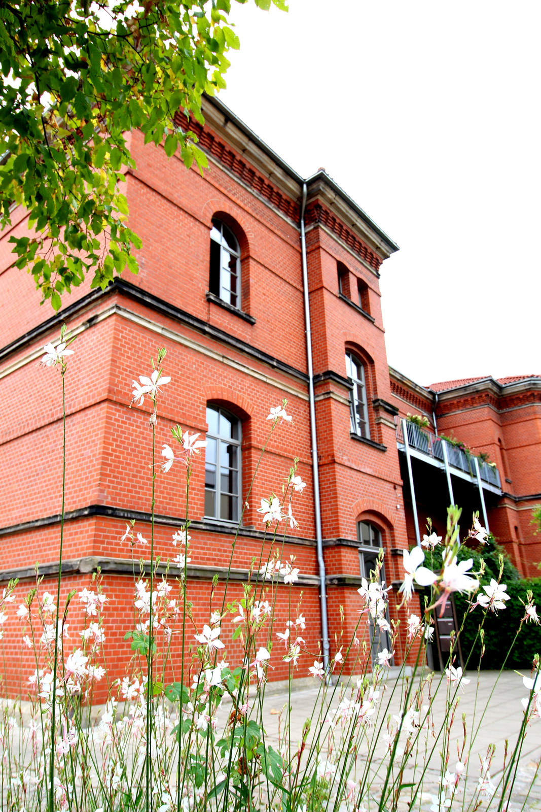 vermietet Büro/Praxis in der königlichen Reitakademie- mit großem Seminarraum u. Garten