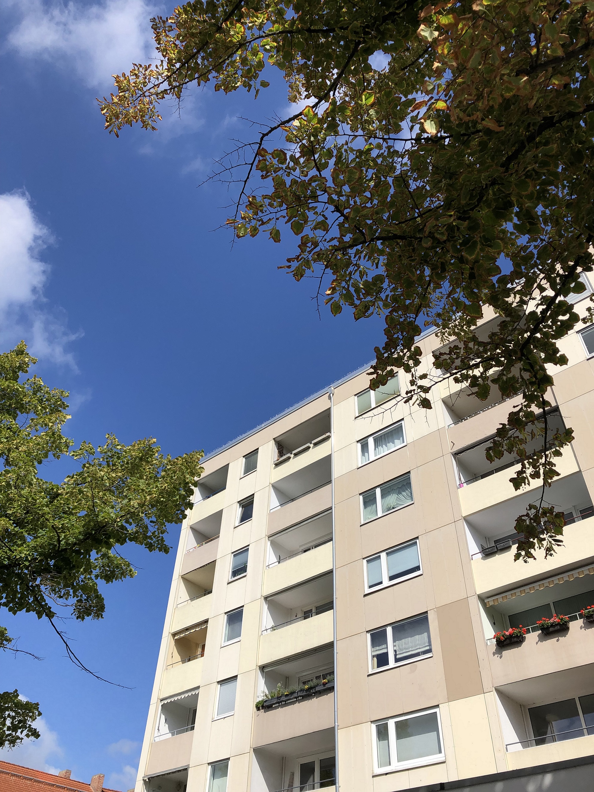 Über den Dächern von Ricklingen - Sonnige ETW, Parkett, Loggia, EBK, Wannenbad mit Fenster