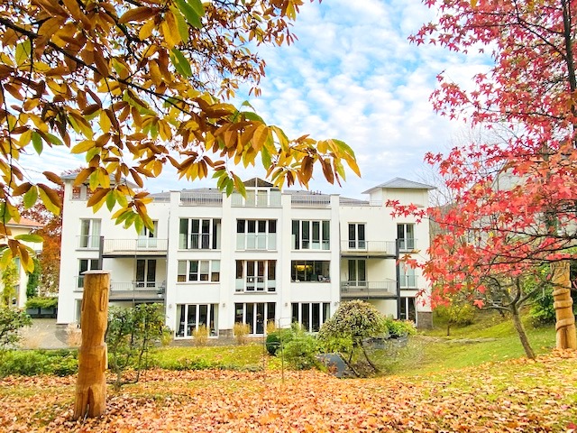 Goslar: Sehr repräsentative Büro- oder Praxisetage (teilbar) mit Garten und vielen Nutzungsmöglichkeiten