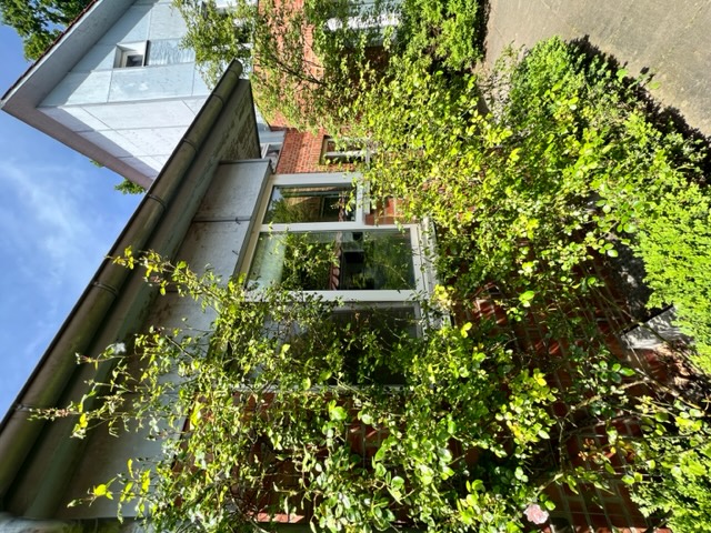 Leider schon weg: zur Miete Rarität Reihenmittelhaus in sehr idyllischer Lage mit Garten, Carport, 2 Schuppen